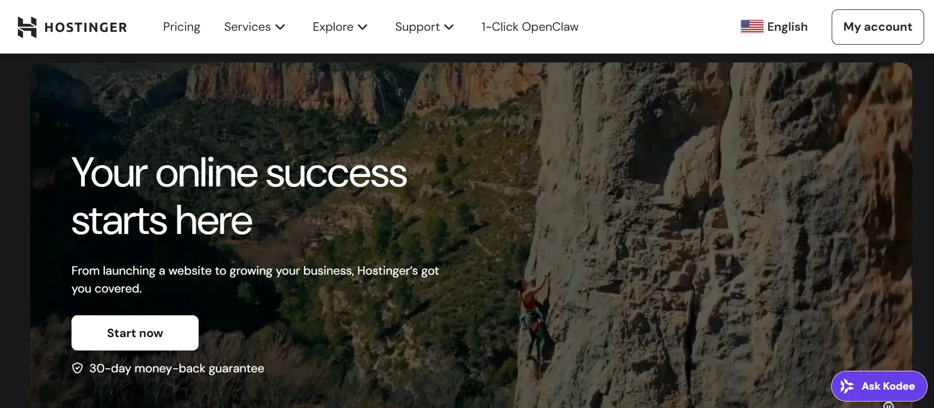Hostinger Affiliate Program