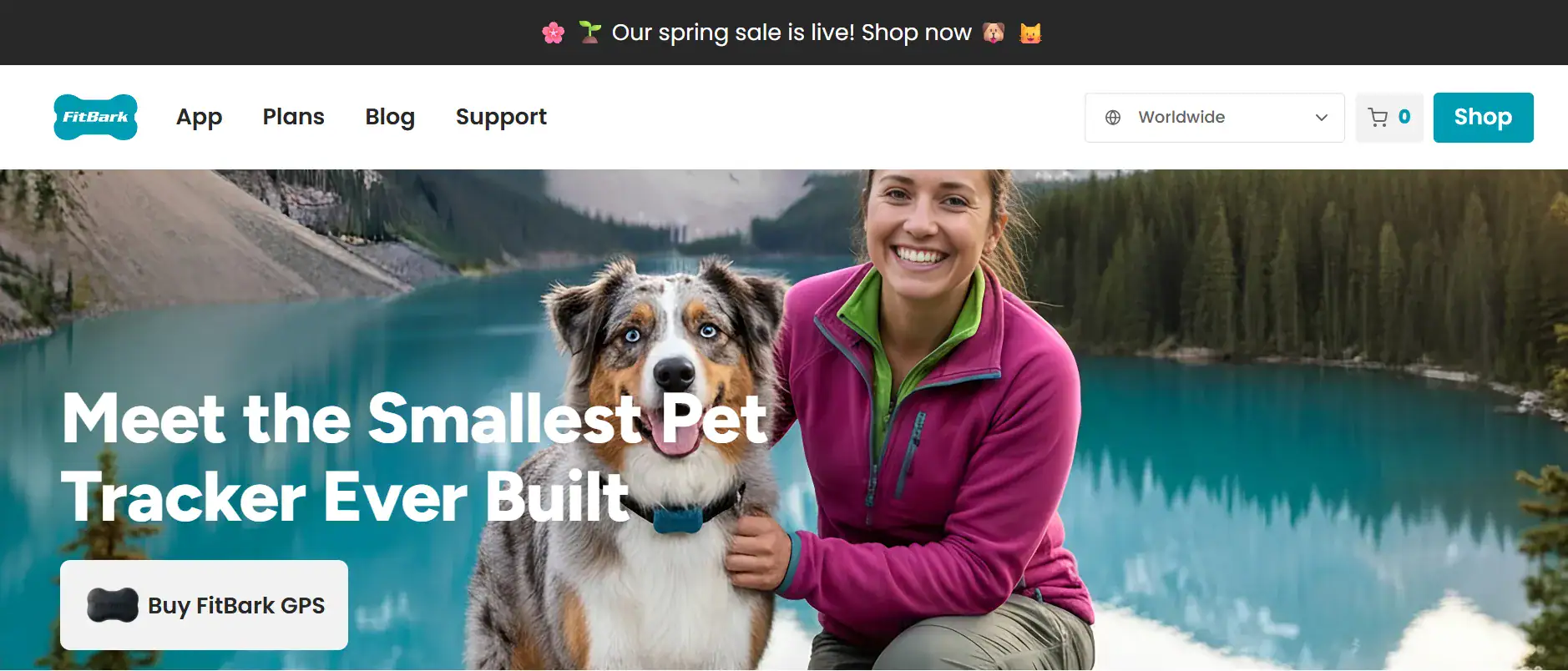 FitBark