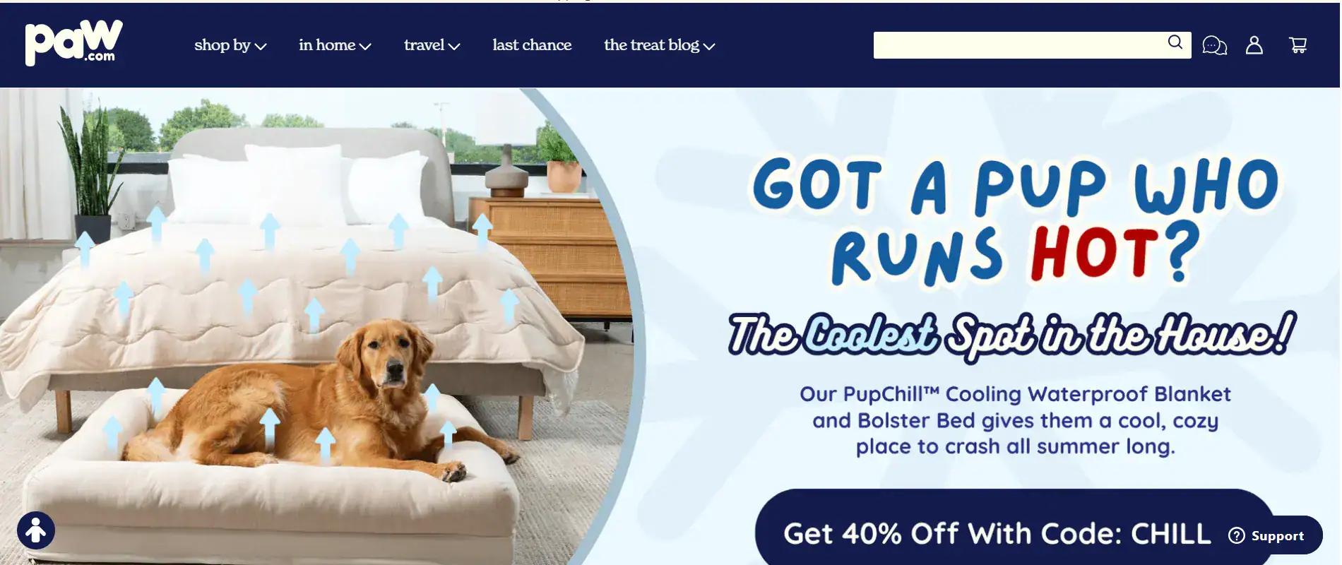 Paw.com